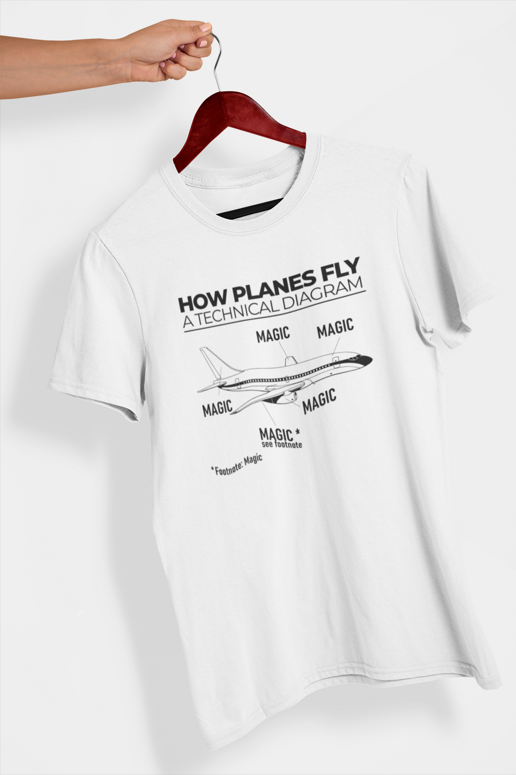 How Planes Fly