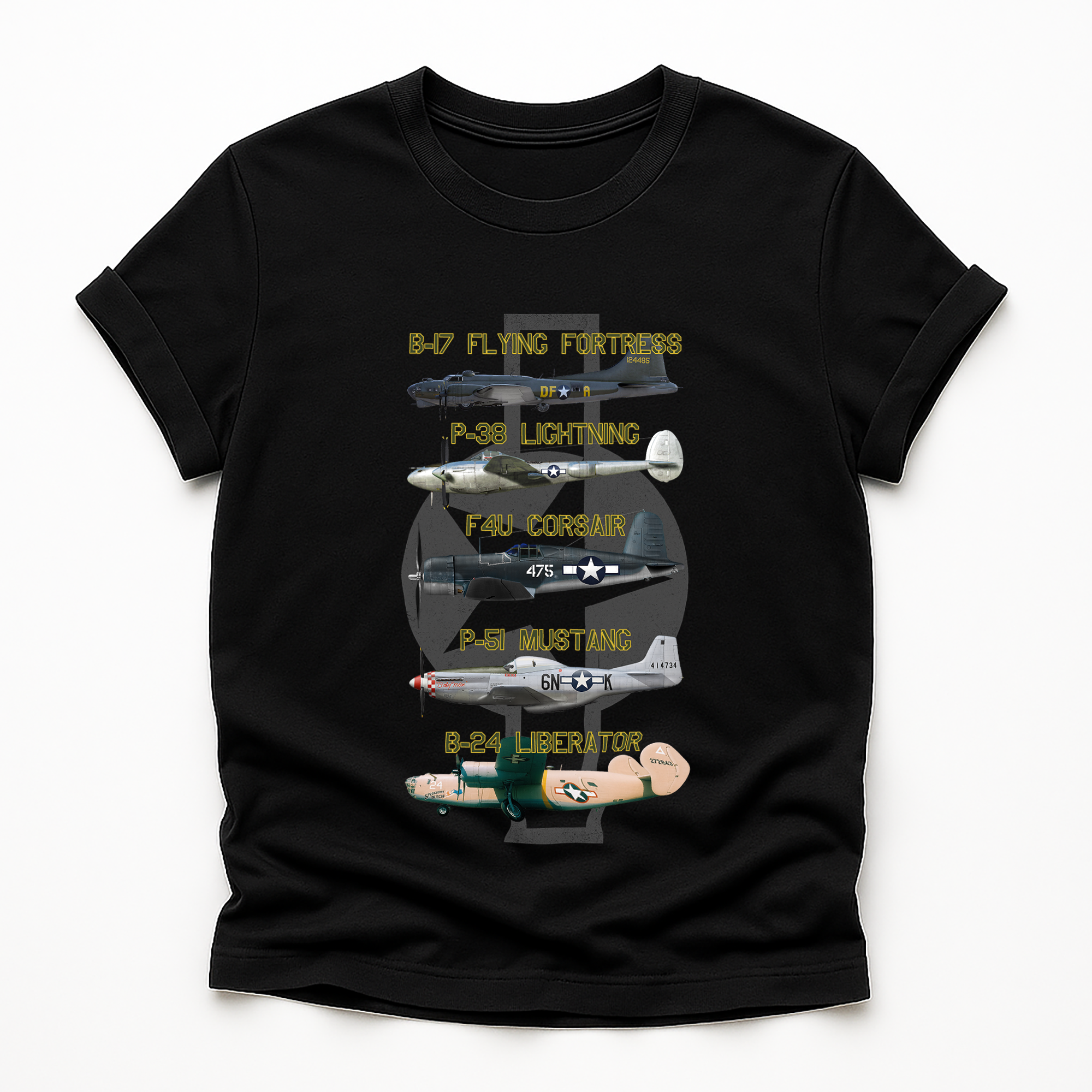 Legends of the Sky: Iconic USAAF Warbirds