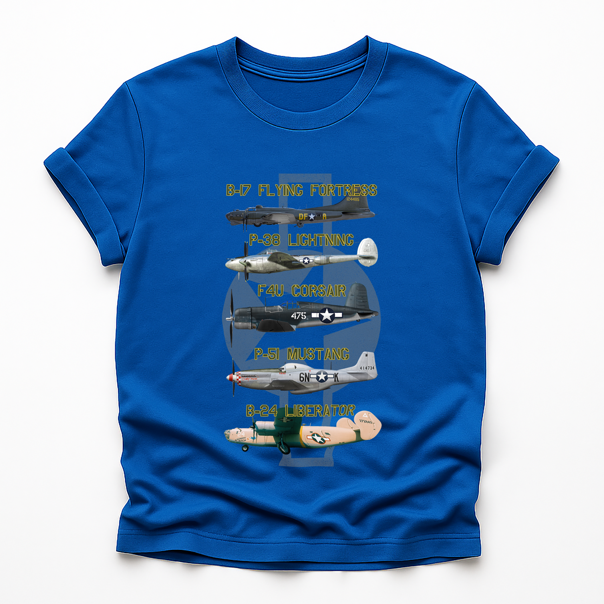 Legends of the Sky: Iconic USAAF Warbirds