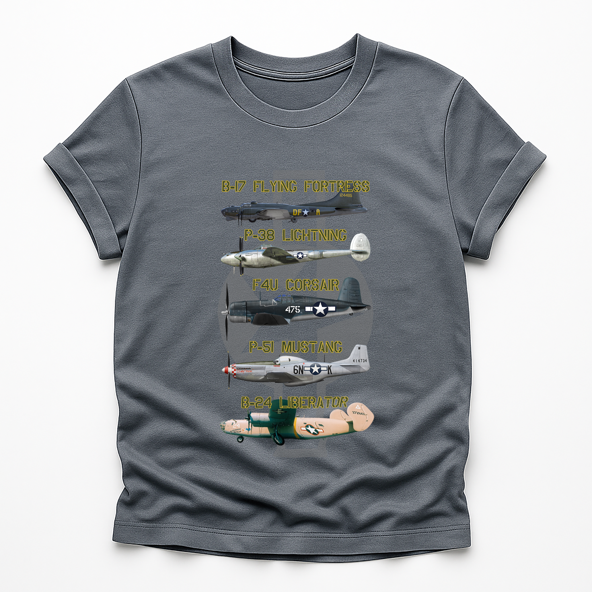 Legends of the Sky: Iconic USAAF Warbirds