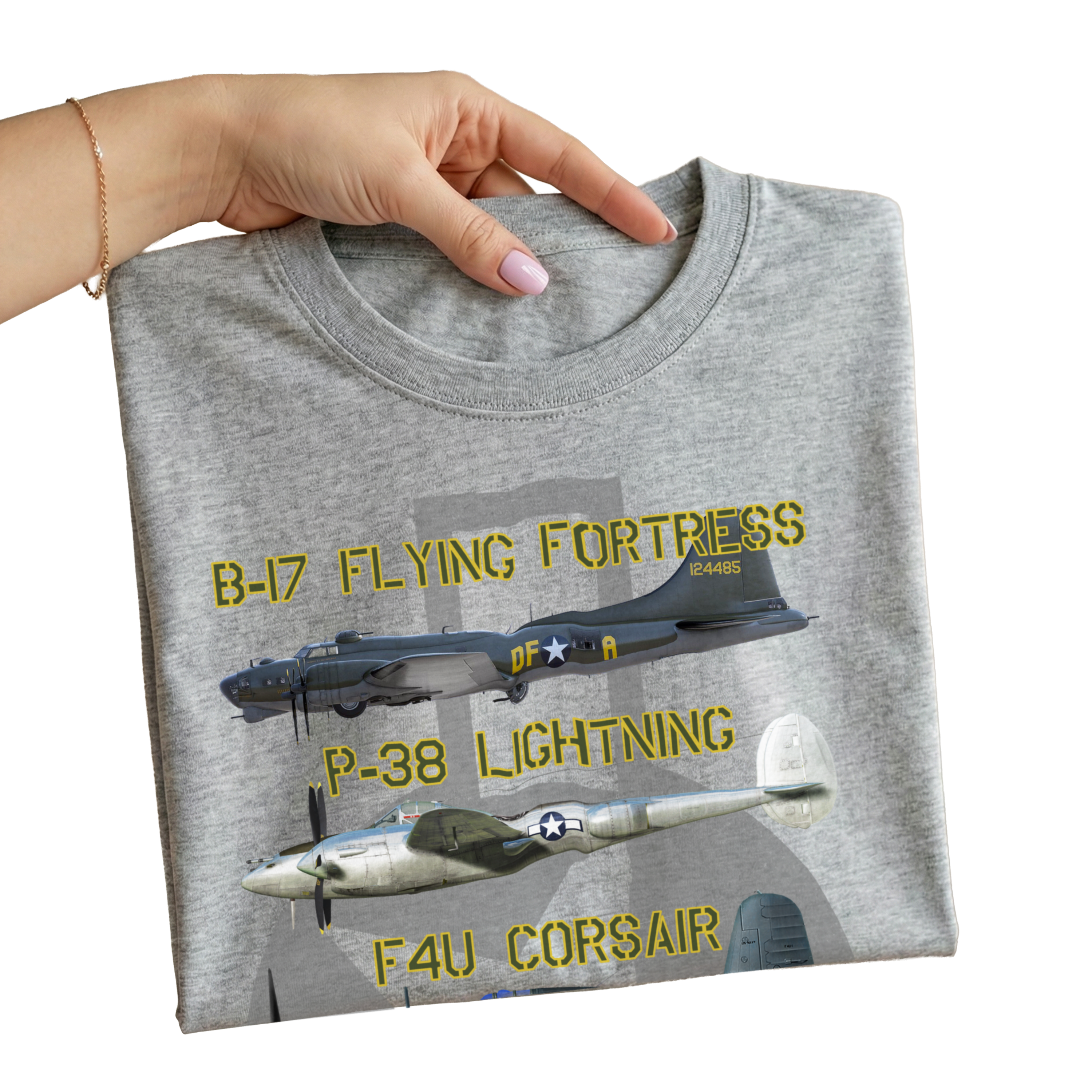 Legends of the Sky: Iconic USAAF Warbirds