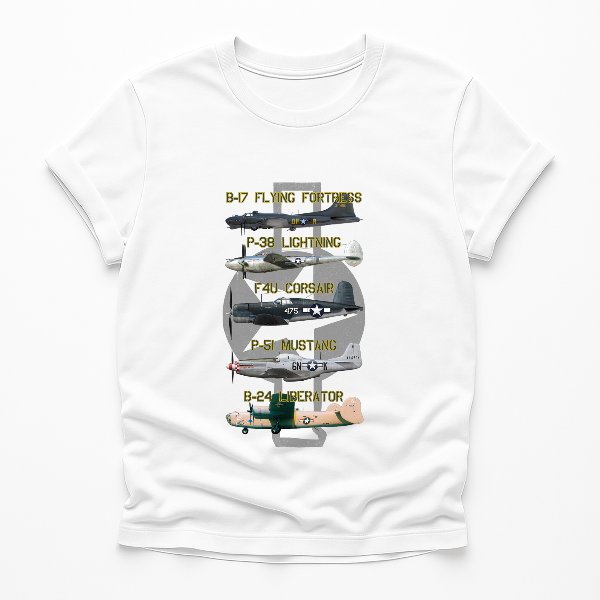 Legends of the Sky: Iconic USAAF Warbirds